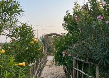 مزرعة بمجالس واجواء ممتعة ومميزة