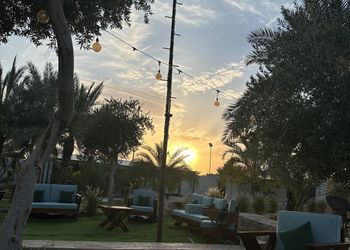 مزرعه بجلسات خارجيه بين الاشجار