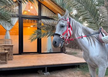 كوخ بسرير ماستر وجلسة خارجية