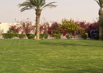 استراحة بمجالس ومسطحات خضراء