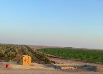 مزرعة بمسطح اخضر وغرفتين نوم