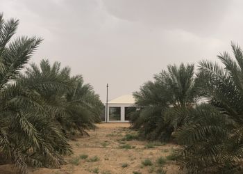 مزرعة بمجلس واسع ومسطح اخضر