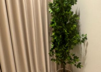 استديو بسرير ماستر ودخول ذاتي