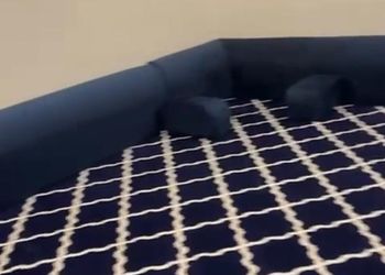شاليه بمسبح خارجي وألعاب أطفال 