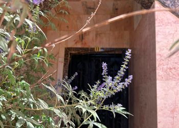 شقة اربع غرف نوم 
