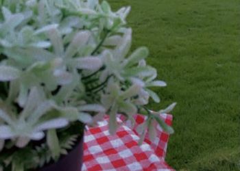 شاليه بألعاب مائية ومسطح اخضر