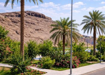 استديو بأثاث مريح وبسيط 