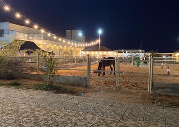 استراحة باسطبل خيل وصالة جلوس