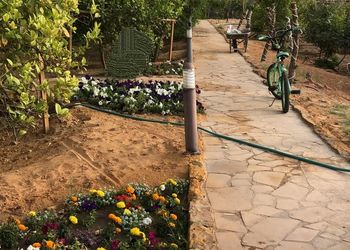 مزرعة بمسبح مطل على الحديقة
