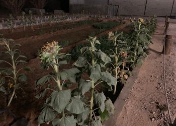 مزرعة بمجالس واسعة وأجواء ممتعة