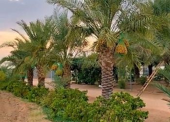 مزرعة بمناظر خلابة وجلسة خارجية 