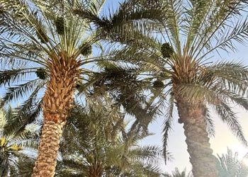  إستراحة بإطلالات على الطبيعة