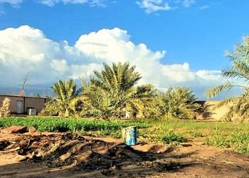 مزرعة بطراز شعبي وملحق خارجي