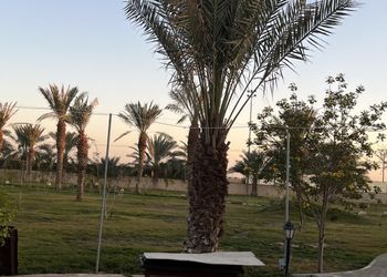 استراحة بمسطح اخضر وجلسة خارجية