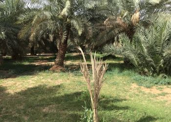 مزرعه بجلسات خارجيه وبيت شعر 