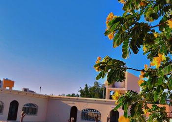 استراحة بخيمة و  مجالس