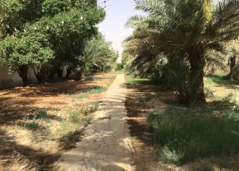 مزرعه بجلسات خارجيه وبيت شعر 