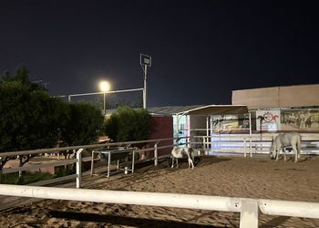 استراحة بجلسة مطلة على مسبح 