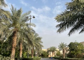 استديو هادئ بسرير ماستر