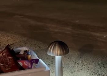 شقة بغرفتين نوم وصالة