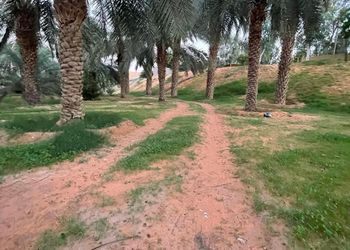 مزرعة بأجواء جميلة ومجالس واسعة