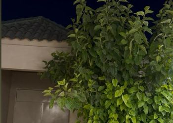شاليه بمسبح