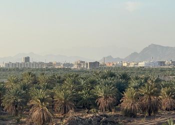 شاليه بمسبح