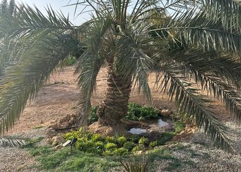 مزرعة بمجلس وجلسة خارجية 
