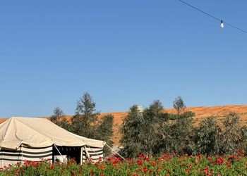 مزرعة بمسطح اخضر وجلسة
