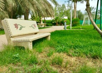 مزرعه بمجلسين وملعب كرة قدم و مطبخ