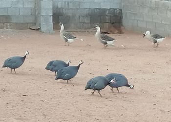 كوخ بأسرة مفردة ومرافق مشتركة