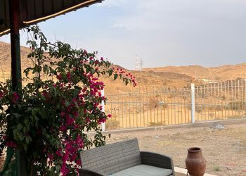 استراحه مطله أجواء ريفيه