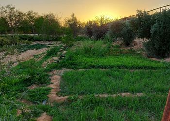 مزرعة ريفيه بجلسات وألعاب أطفال