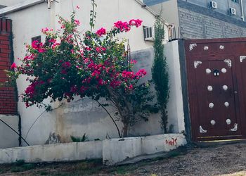استراحة بصالة جلوس وفناء خارجي