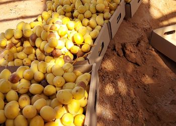 مزرعة بطراز شعبي وملحق خارجي