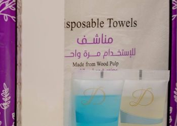 استديو بدخول ذاتي 