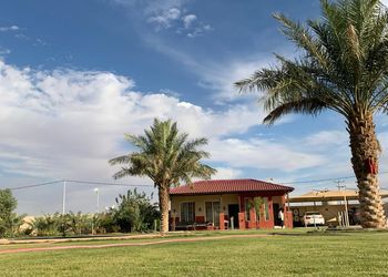 استراحة بمسطح اخضر ومجالس