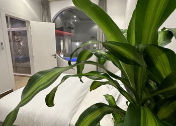 شاليه بمسبح ومسطح اخضر