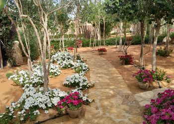 استراحة بمسطح اخضر ومجالس