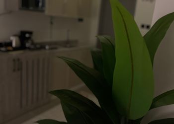 استديو بسرير ماستر وجلسة جانبية