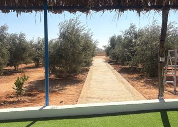 مزرعة بيت ريفي وجلسات خارجية 