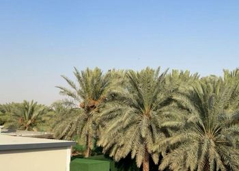 شاليه بغرفتين نوم و جلسة خارجية