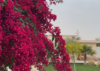 شاليه لقضاء وقت ممتع ومميز 