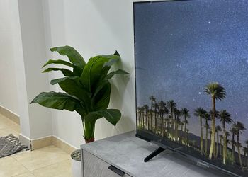 شقة بغرفتين نوم وصالة