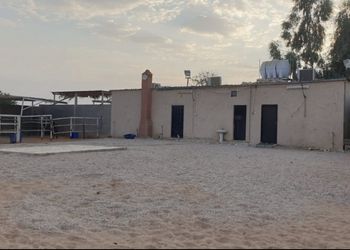 استراحة داخل اسطبل خيول 