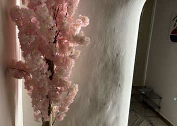 استديو بدخول ذاتي وتصميم أنيق 