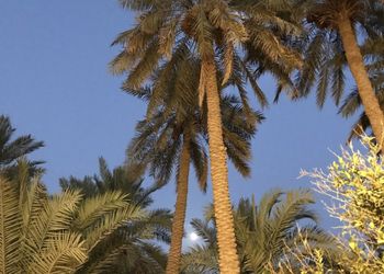 مزرعة بمناظر خلابة وجلسة خارجية 