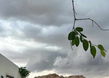 شاليه بجلسة مطلة على الحديقة