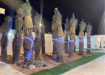 استراحة بمجلس ومسطح اخضر 