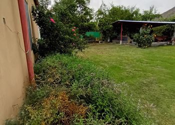 استراحه بإطلاله على مزرعه وحديقه